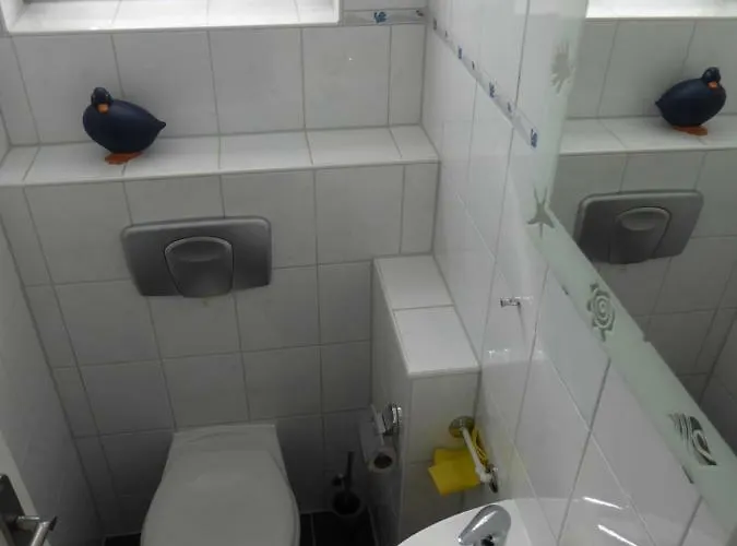 Carmen U. Rudolf Lutz 诺德代希